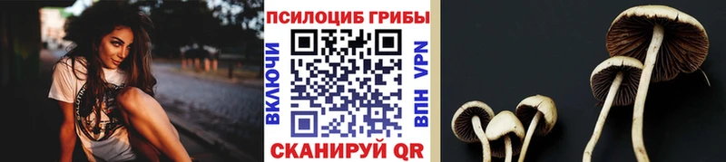 Псилоцибиновые грибы Magic Shrooms  ссылка на мегу маркетплейс  Ногинск 