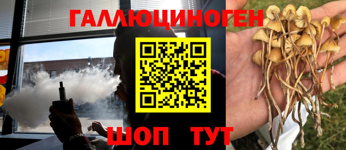 закладки  Ногинск  Псилоцибиновые грибы прущие грибы 